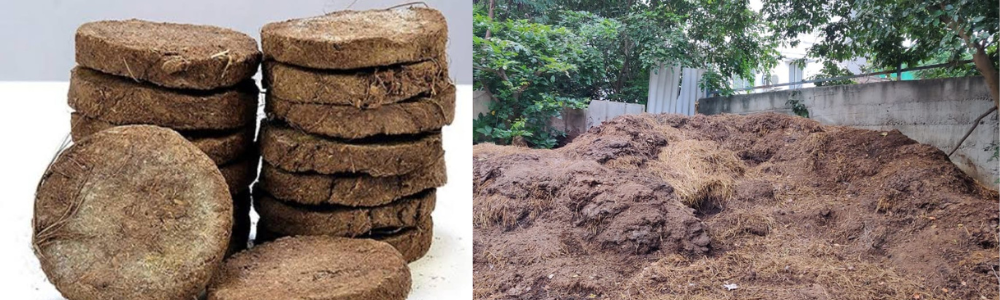 Cow Dung Powder & Cake